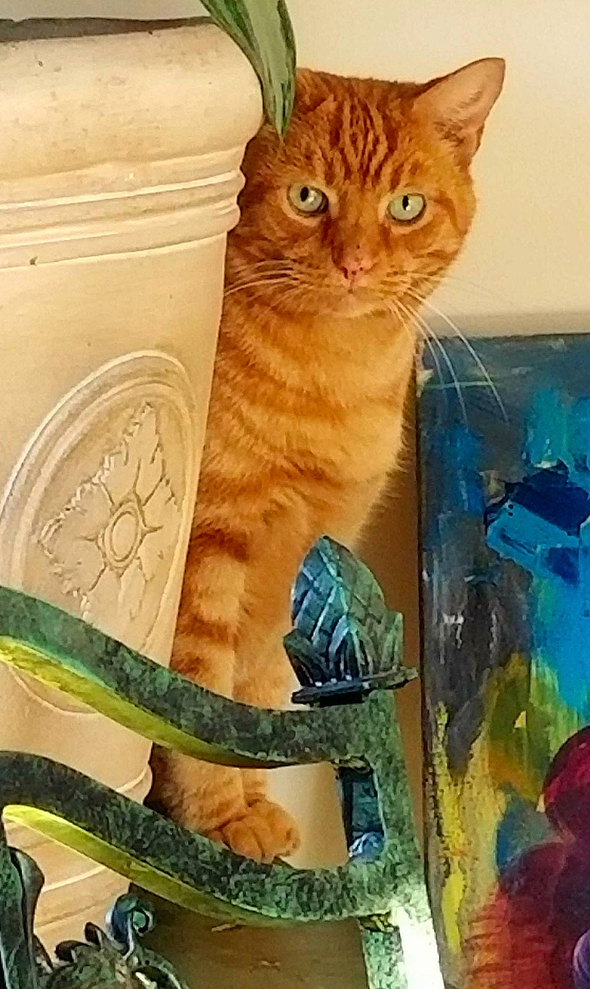 Big Orange is registered to the contest to win money with this photo: art, carnivore, cat, cat_supply, domestic_short_haired_cat, fawn, felidae, fur, glass, illustration, paint, pattern, pet_supply, rectangle, small_to_medium_sized_cats, tail, visual_arts, whiskers, window, wood