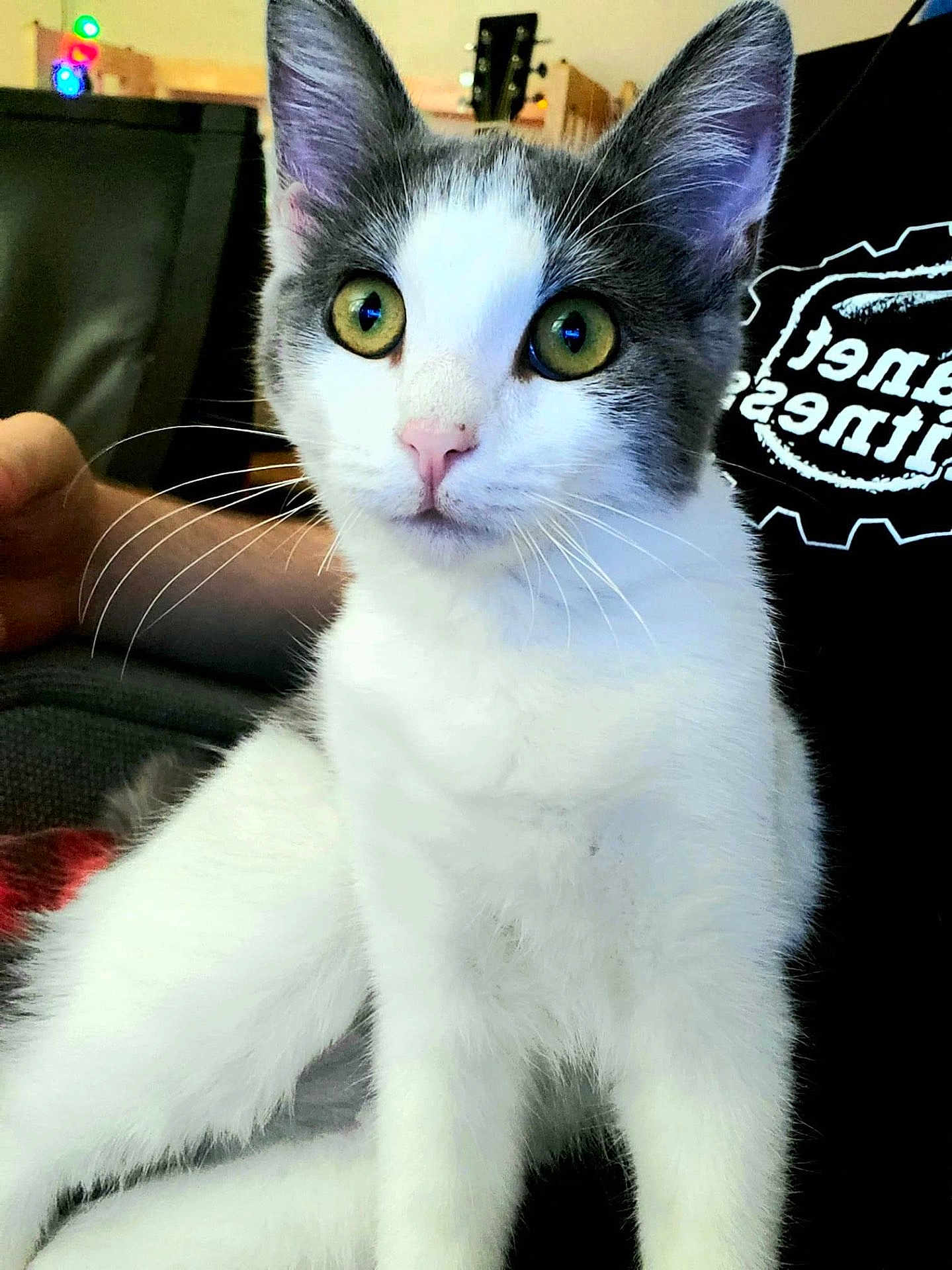 Luna