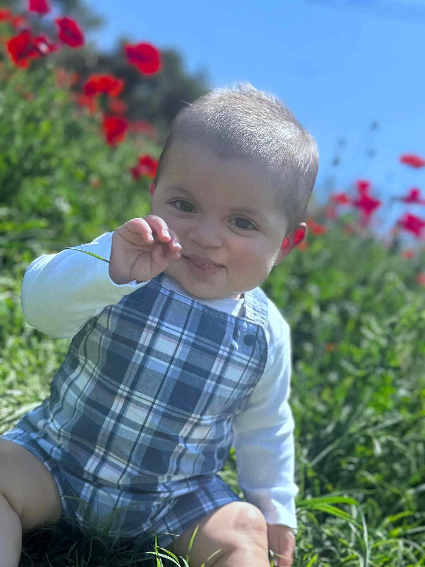 Marcus is registered to the contest to win money with this photo: baby, child, plaid_romper, grass, flowers, red_flowers, outdoor, sunny, greenery, blue_sky, cute, playful, sitting, nature, infant, portrait, smiling, happy, one_person, young_child