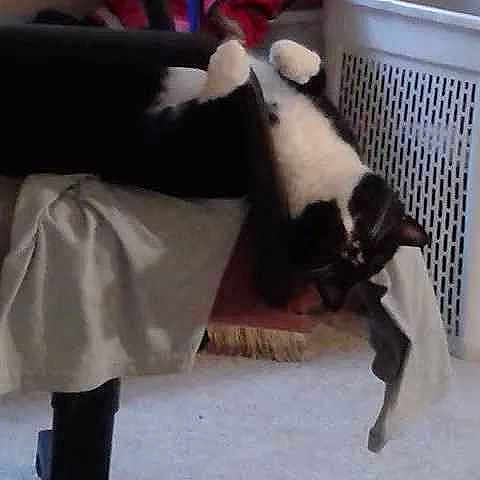 Tuxz is registered to the contest to win money with this photo: