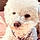 Alue