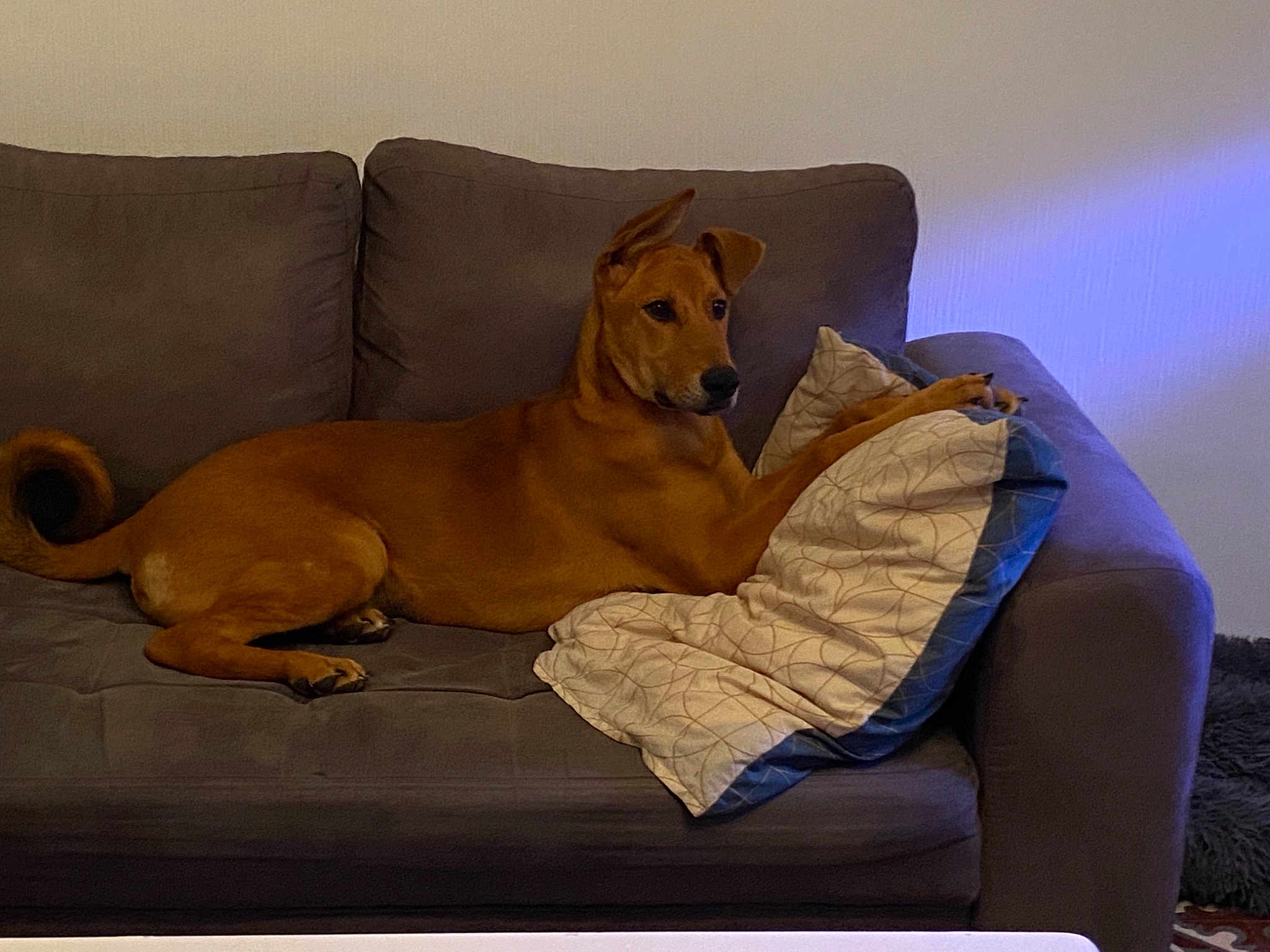 Tyson