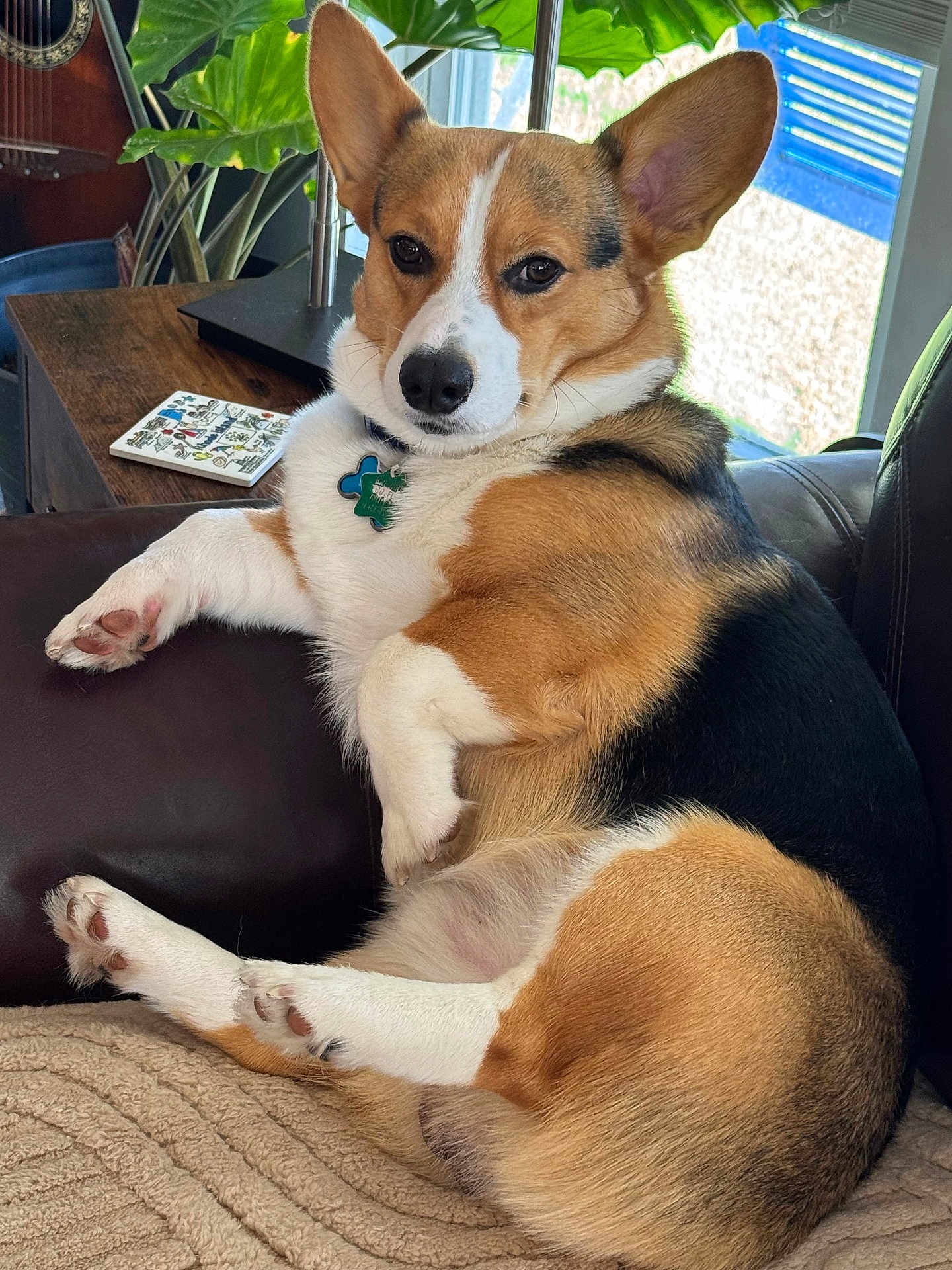 Axel