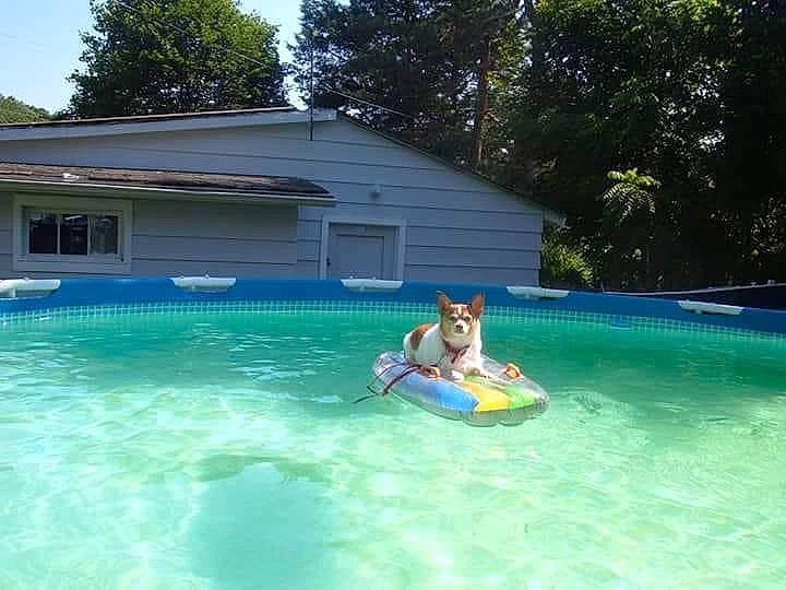 Billy is registered to the contest to win money with this photo: bathing, building, fun, house, leisure, leisure_centre, outdoor_furniture, outdoor_recreation, plant, property, recreation, resort_town, shade, sky, sports_equipment, surfboard, swimming_pool, tree, water, window