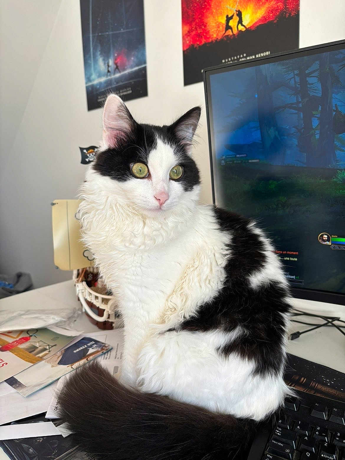 Neji a rejoint le concours — aidez-le/la à gagner de superbes lots ! cat, feline, pet, black_and_white, green_eyes, fluffy, tail, desk, keyboard, monitor, computer, papers, poster, indoor, home_office, curious, sitting, whiskers, close_up, portrait