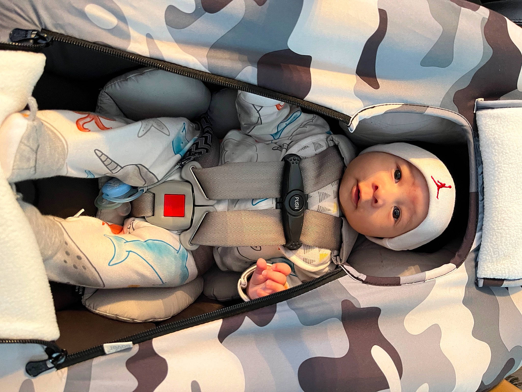 Dylan joined the competition — help win amazing prizes! art, auto_part, automotive_design, baby, baby_products, car_seat, carmine, child, comfort, fashion_accessory, fictional_character, font, graphics, headwear, pattern, person, product, room, textile, toddler