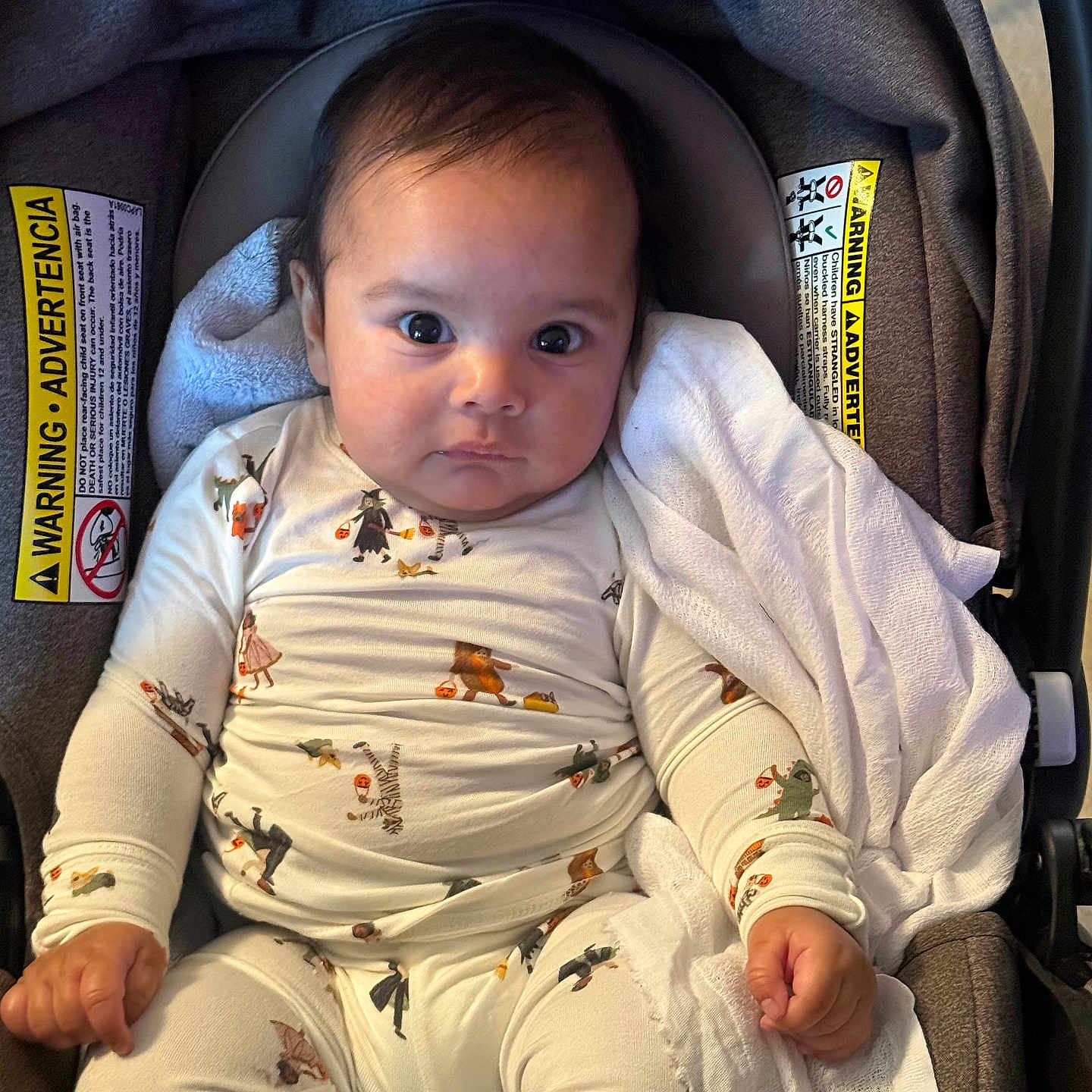 Davi is registered to the contest to win money with this photo: baby, infant, child, car_seat, portrait, sitting, wide_eyed, face, eyes, blanket, onesie, clothing, animal_print, car, safety_label, indoor, closeup, photography, cute, person
