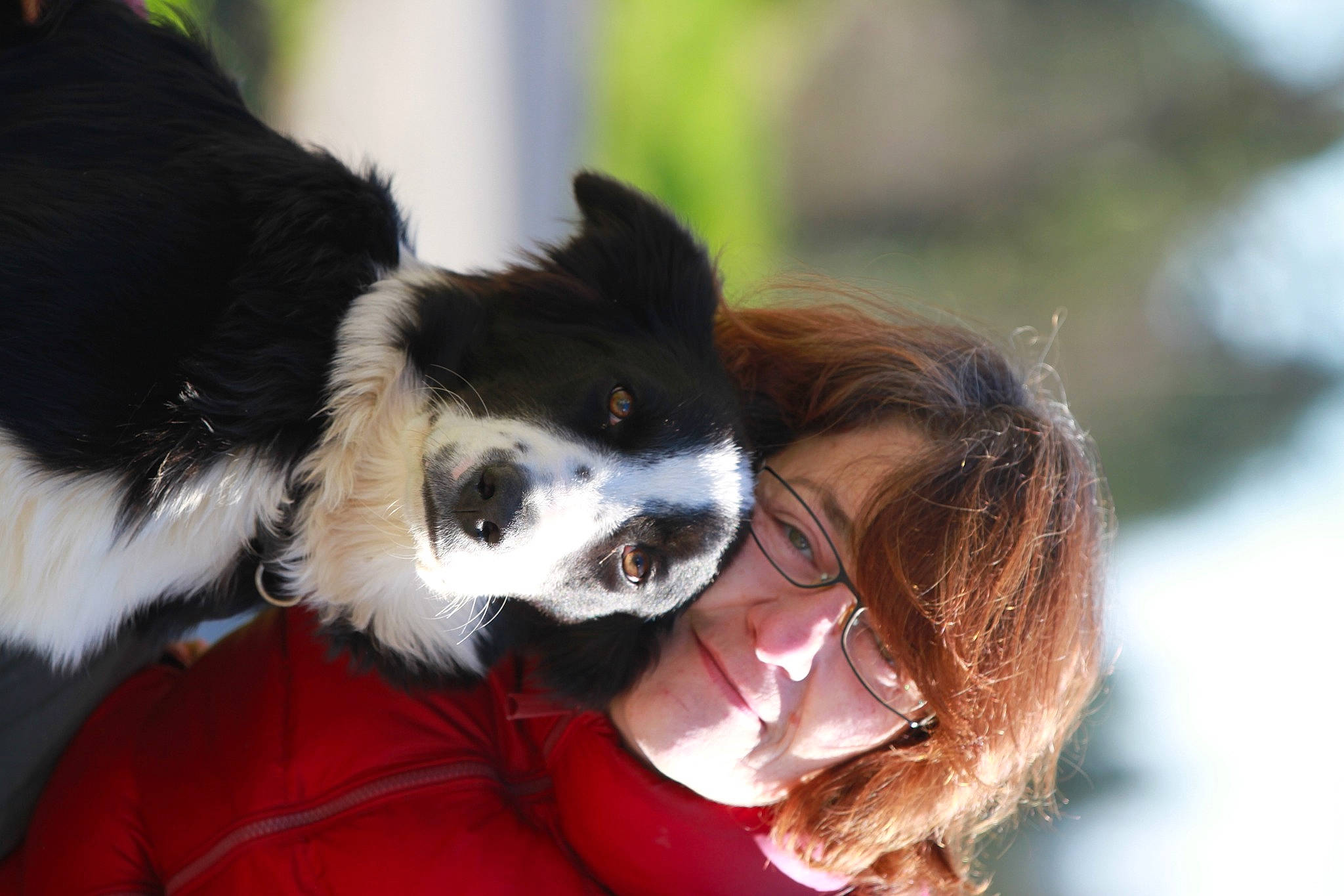 Tiago participe au concours pour gagner de l'argent avec cette photo : border_collie, canidae, carnivore, companion_dog, dog, dog_breed, dog_sports, eyewear, fun, fur, happy, herding_dog, plant, recreation, snout, sporting_group, sunglasses, whiskers, working_animal, working_dog