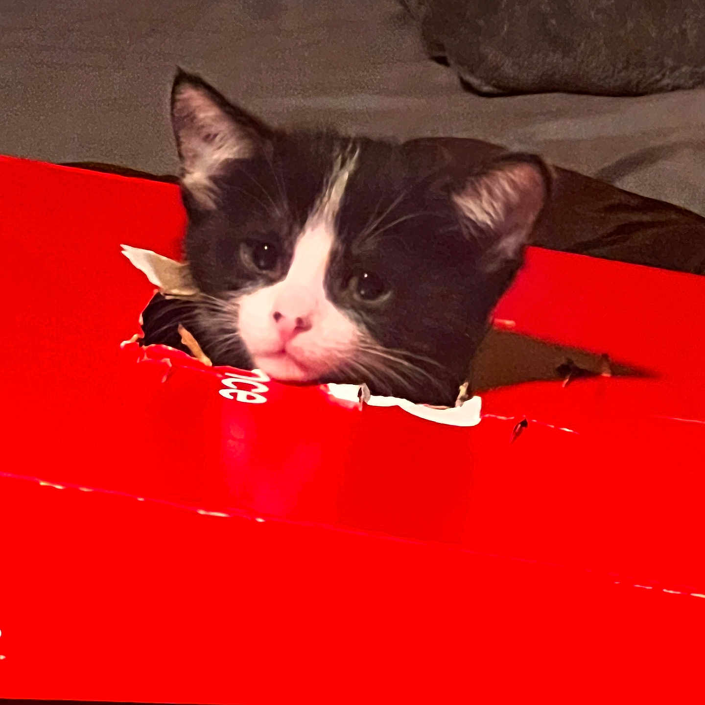 Melo