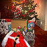 Blue joined the competition — help win amazing prizes! cat, santa_outfit, christmas_tree, holiday_lights, tinsel, ornaments, stocking, gift_bags, gifts, indoor, carpet, festive, gray_cat, pet, holiday_decor, christmas, cute, animal, seasonal, celebration