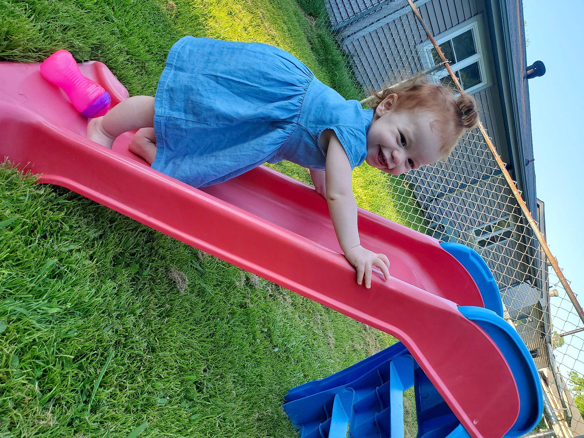 Piper joined the competition — help win amazing prizes! child, chute, fun, grass, leisure, outdoor_furniture, outdoor_play_equipment, person, play, playground, playground_slide, public_space, recreation, summer, vacation