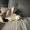 cat, plush_toy, bed, couch, indoor, pet, feline, white_cat, brown_spot, stuffed_animal, relaxed, cute, cozy, soft_toy, domestic_animal, resting, curious, animal, furniture, home