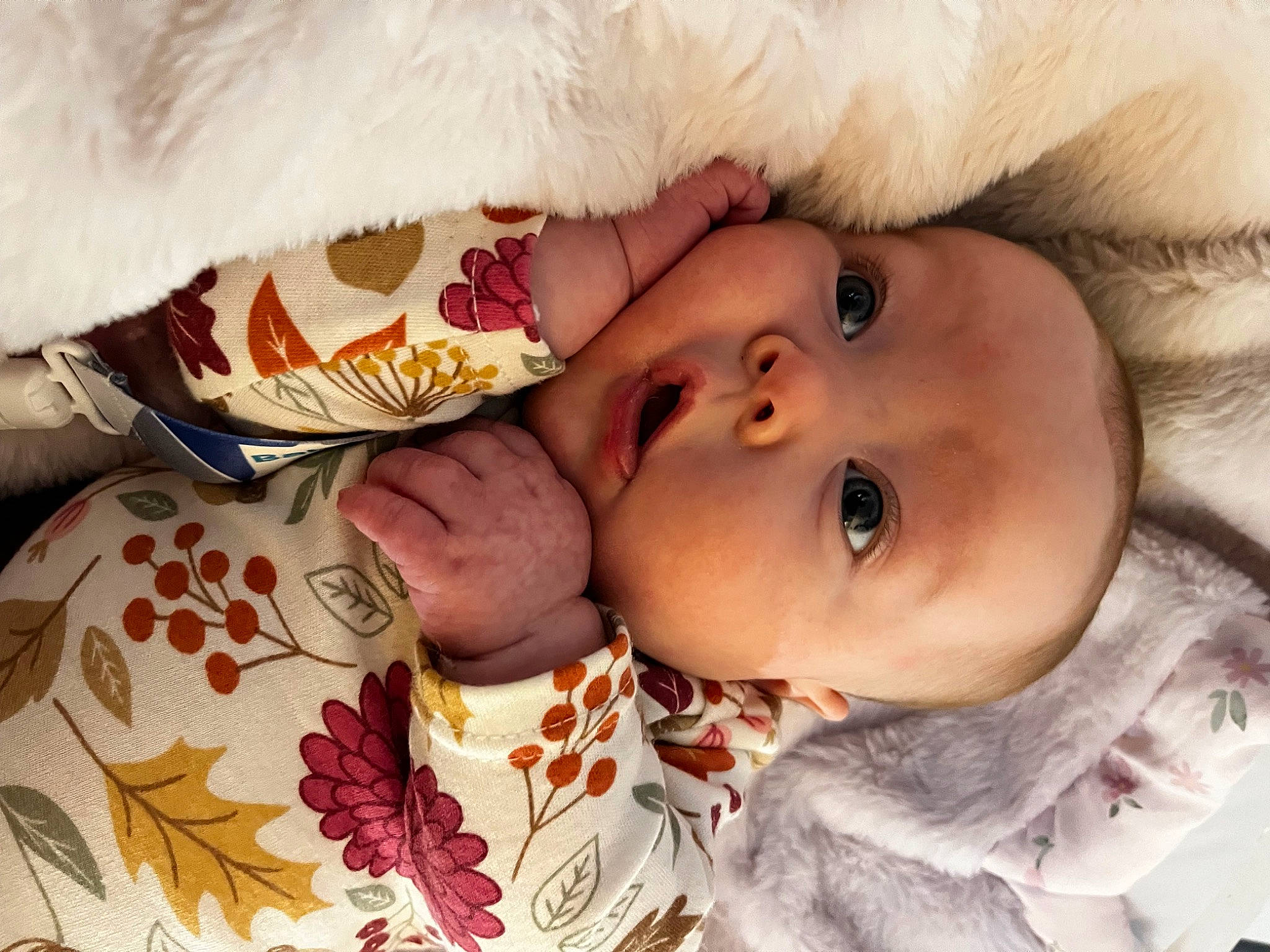 Clover joined the competition — help win amazing prizes! baby, baby_toddler_clothing, cheek, child, close_up, comfort, eye, eyelash, fur, happy, hat, head, iris, lip, mouth, nose, person, skin, sleeve, textile