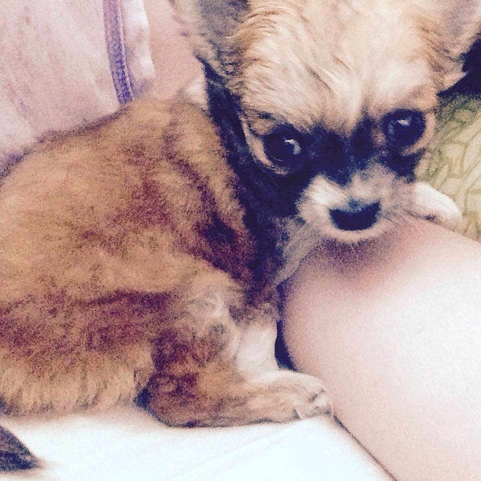 Toby joined the competition — help win amazing prizes!