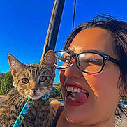 Milo is registered to the contest to win money with this photo: animal, blue_sky, cat, closeup, daylight, funny_face, glasses, harness, holding, human_face, leash, outdoor, person, pet, playful, smiling, sunlight, tabby_cat, tongue_out, wooden_pole