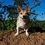 Beryl participe au concours pour gagner de l'argent avec cette photo :