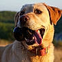 Targuy participe au concours pour gagner de l'argent avec cette photo :