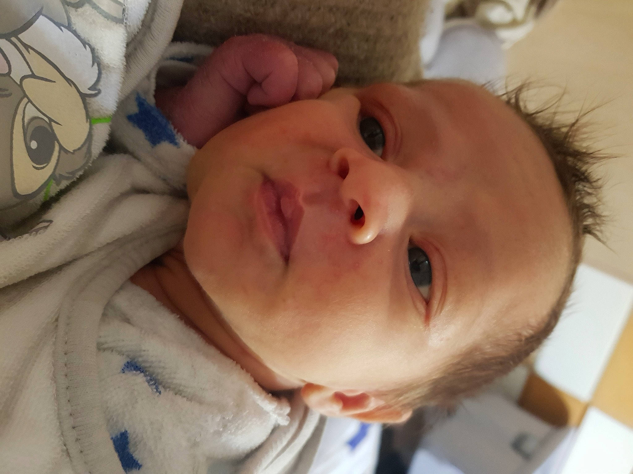 Lénaïc participe au concours pour gagner de l'argent avec cette photo : baby, baby_products, baby_toddler_clothing, cheek, child, chin, comfort, ear, eyebrow, eyelash, happy, head, iris, lip, mouth, nose, person, skin, sleeve, toddler