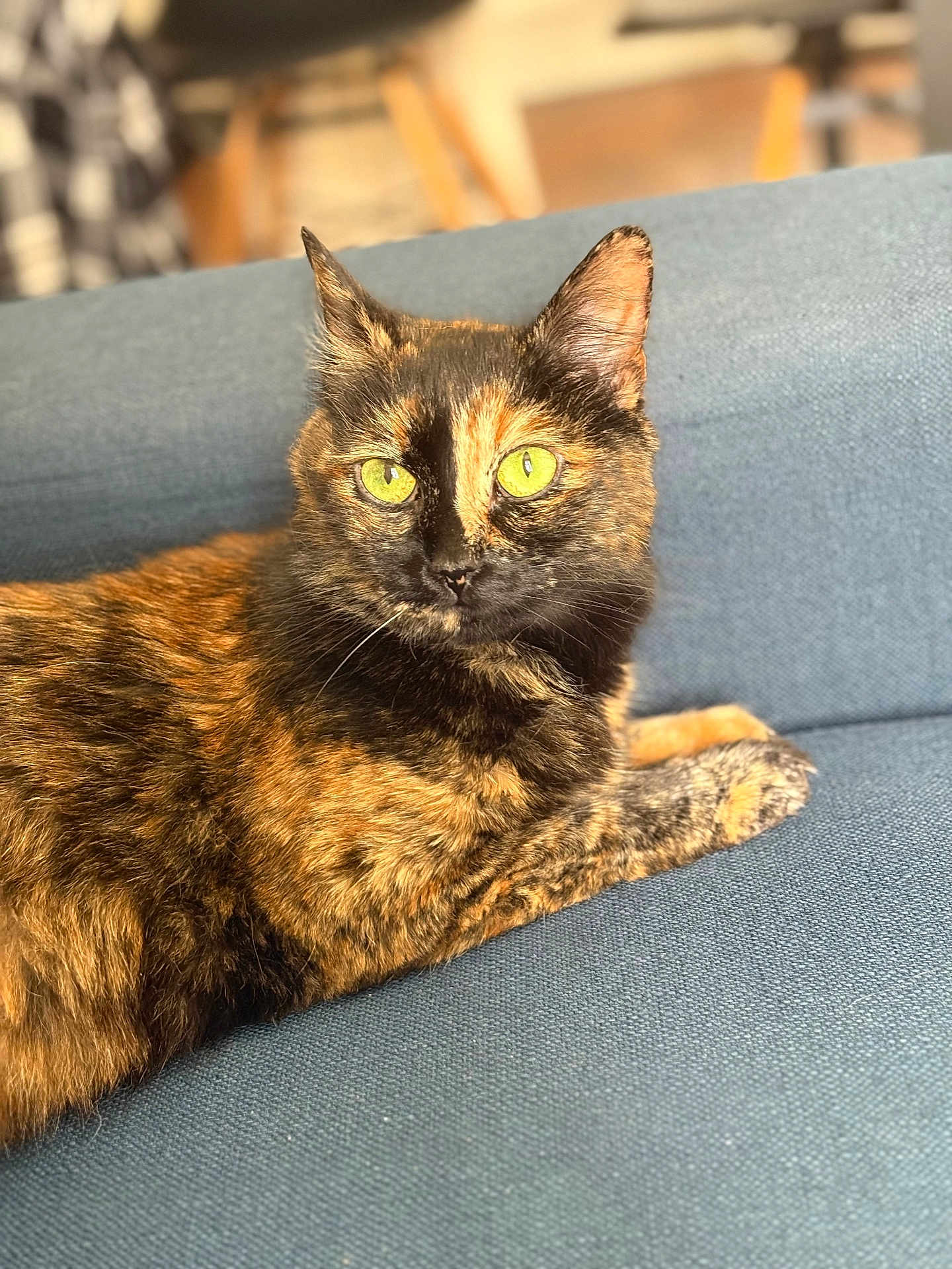 Nina