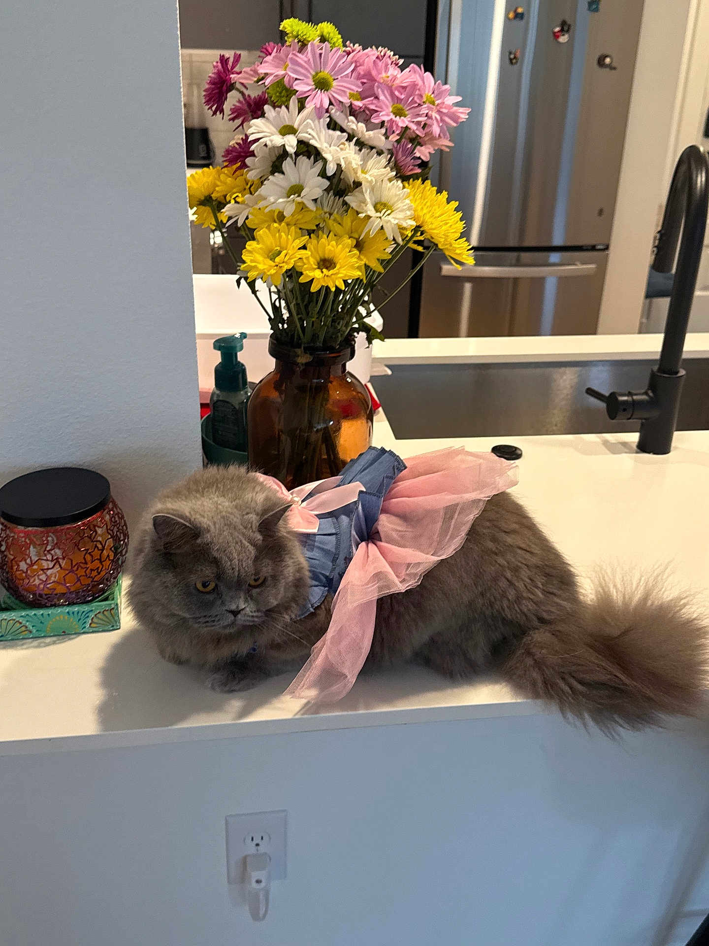 Freya