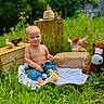 Josiah joined the competition — help win amazing prizes! baby, child, shirtless, jeans, grass, chick, bird, wooden_crate, hat, stuffed_animal, bull_plush, horse_plush, hay_bale, outdoor, nature, greenery, sunlight, cute, portrait, garden