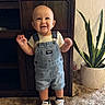 Josiah is registered to the contest to win money with this photo: toddler, child, denim_overalls, white_tshirt, sneakers, indoor, carpet, plant, pot, wooden_furniture, smiling, cute, standing, baby, person, happy, casual_clothing, living_room, small_child, footwear