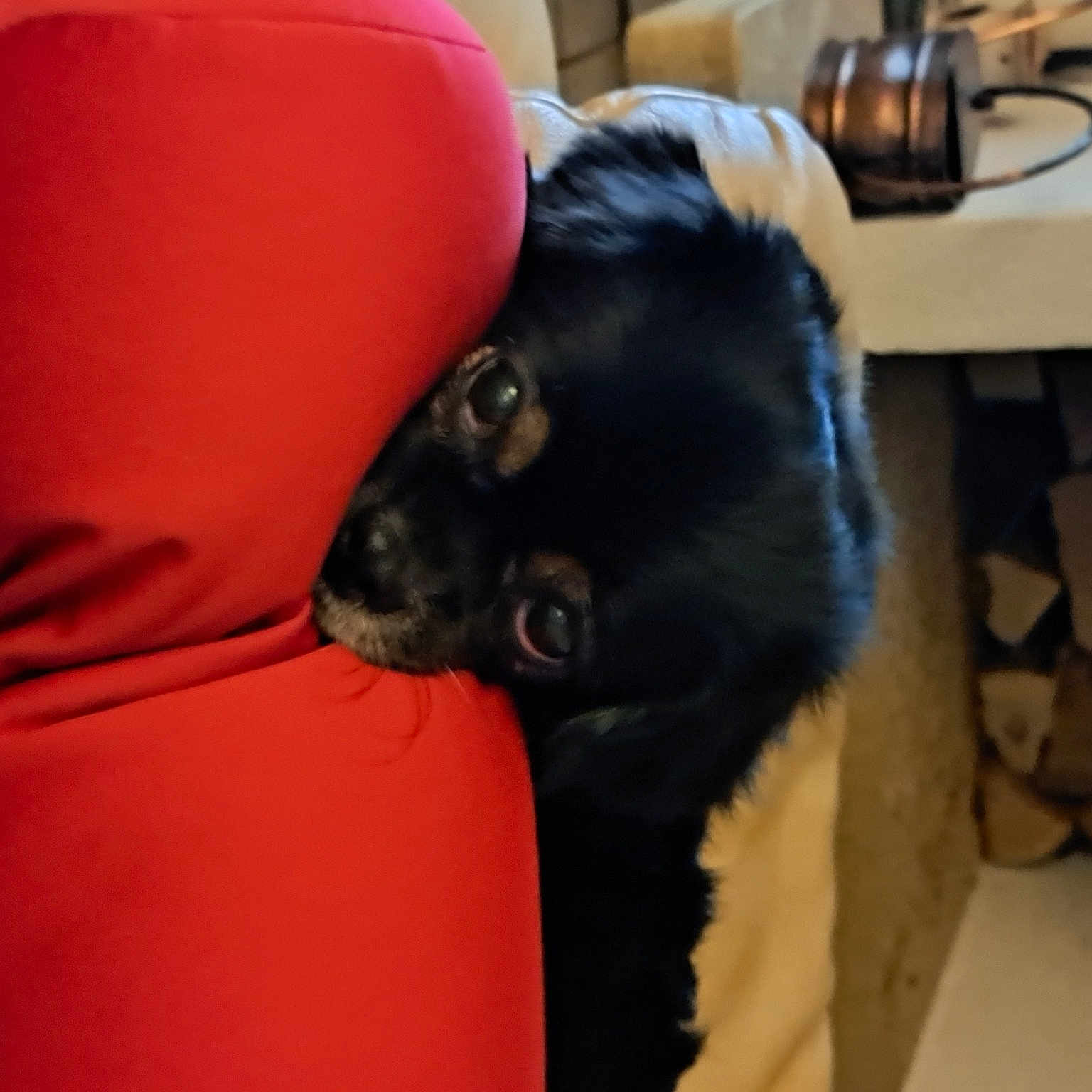 Roxy
