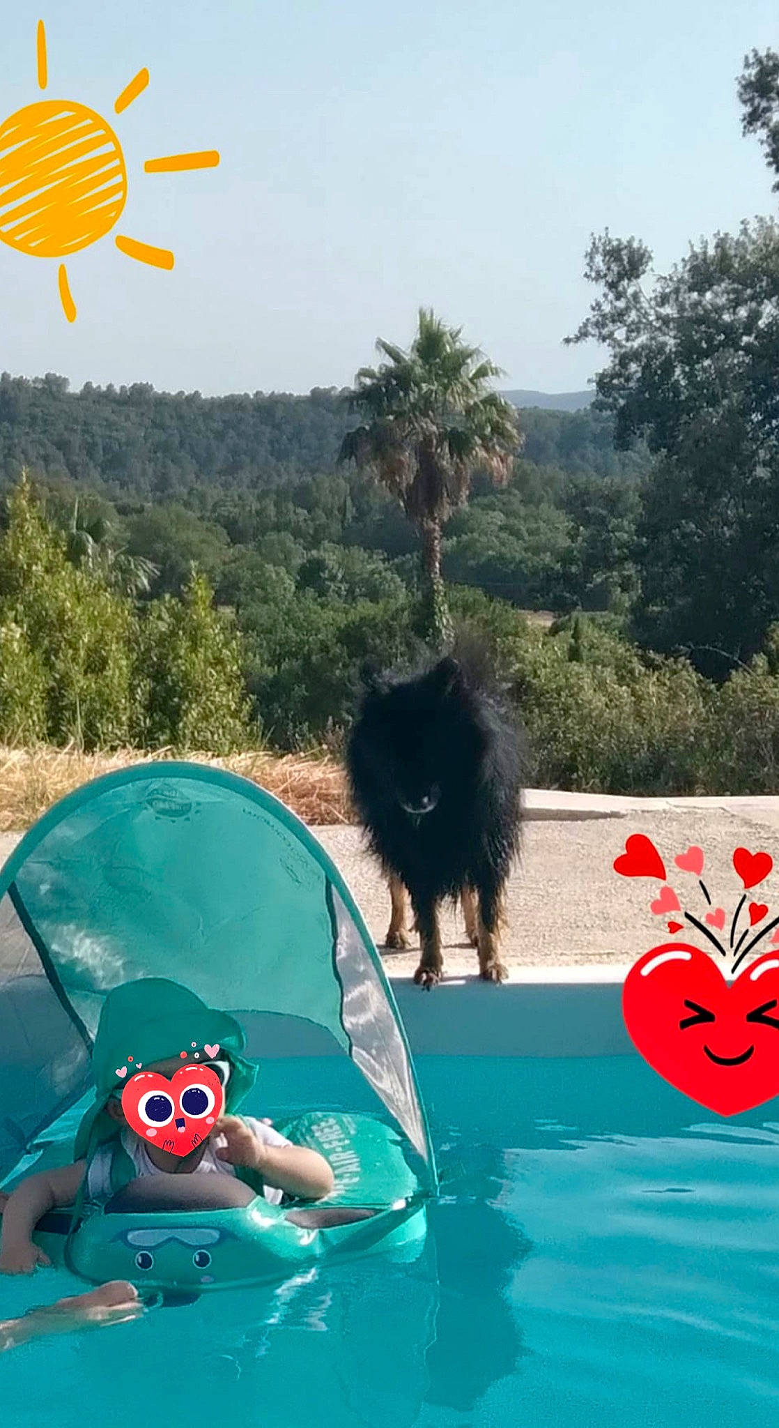 Oméga participe au concours pour gagner de l'argent avec cette photo : cool, fun, grass, green, happy, landscape, leisure, light, mammal, morning, nature, people_in_nature, personal_protective_equipment, plant, recreation, sky, travel, tree, vertebrate, water