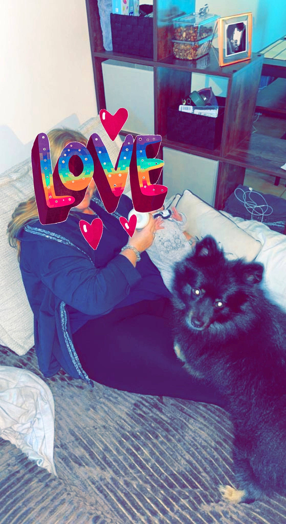 Oméga a rejoint le concours — aidez-le/la à gagner de superbes lots ! carnivore, cat, comfort, companion_dog, electric_blue, felidae, flooring, fun, happy, human, human_leg, lap, magenta, mammal, sitting, small_to_medium_sized_cats, sportswear, textile, thigh, whiskers