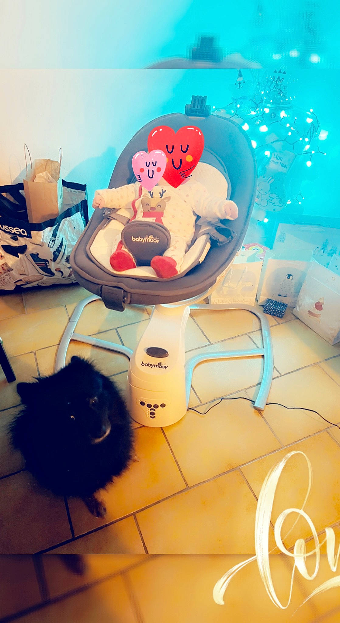 Oméga a rejoint le concours — aidez-le/la à gagner de superbes lots ! carmine, carnivore, cat, chair, circle, comfort, felidae, flooring, font, fur, graphics, happy, interior_design, room, small_to_medium_sized_cats, table, tableware, tail, teddy_bear, whiskers