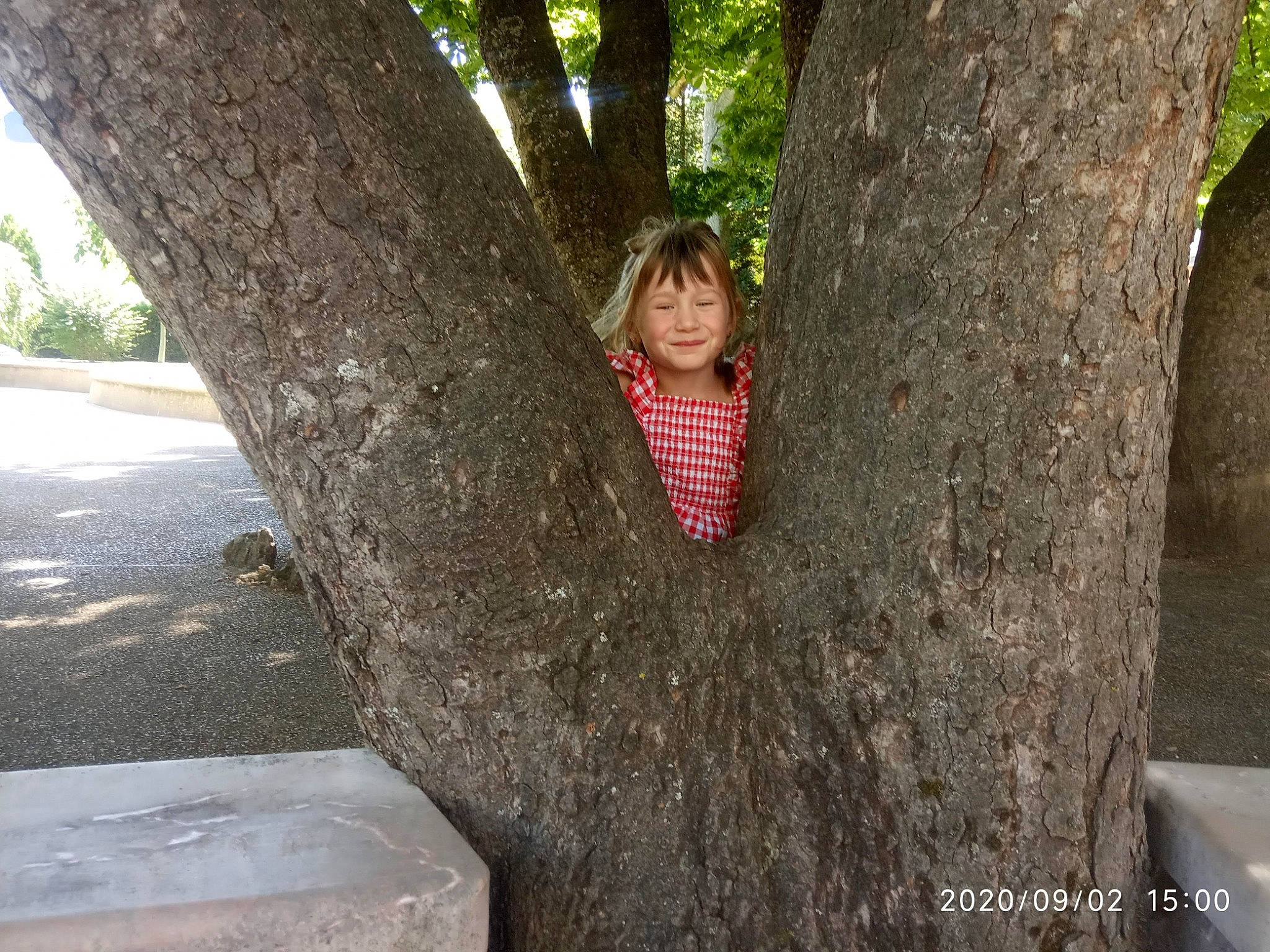 Chloé participe au concours pour gagner de l'argent avec cette photo : branch, fun, grass, happy, joy, leisure, people_in_nature, person, plant, plant_stem, recreation, road_surface, sidewalk, sitting, smile, soil, toddler, tree, trunk, wood