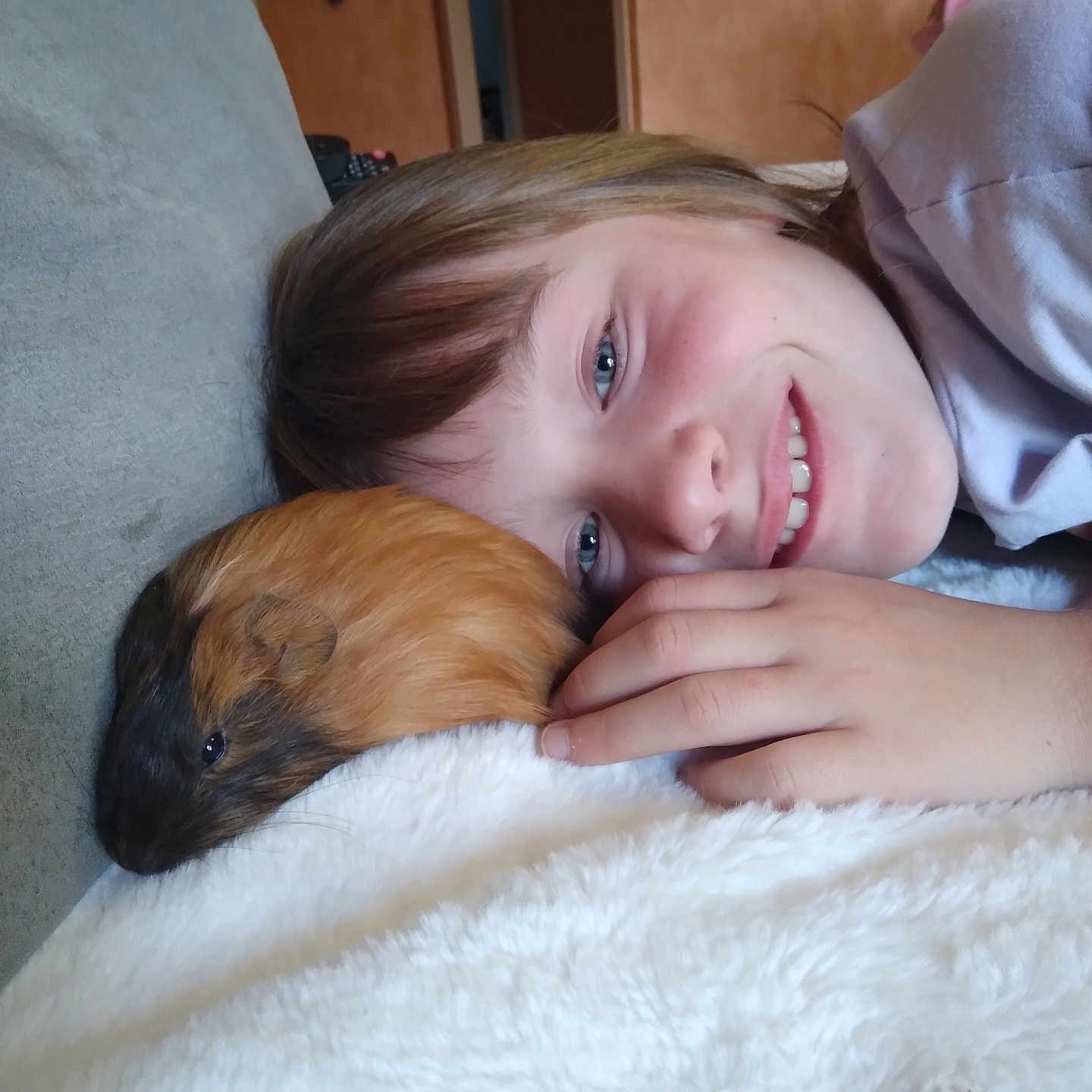 Chloé a rejoint le concours — aidez-le/la à gagner de superbes lots ! animal, baby, blanket, bodypart, canine, couch, dog, face, finger, furniture, hand, head, newborn, person, pet, photography, portrait, puppy, rat, rodent
