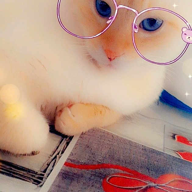 Milo