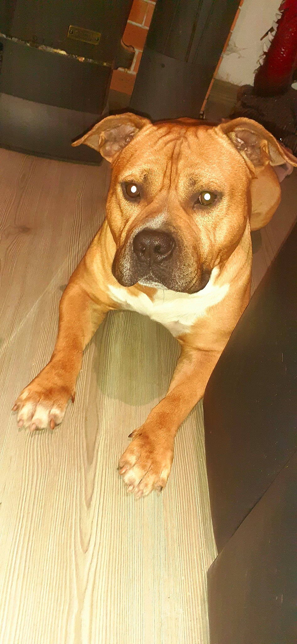 Django