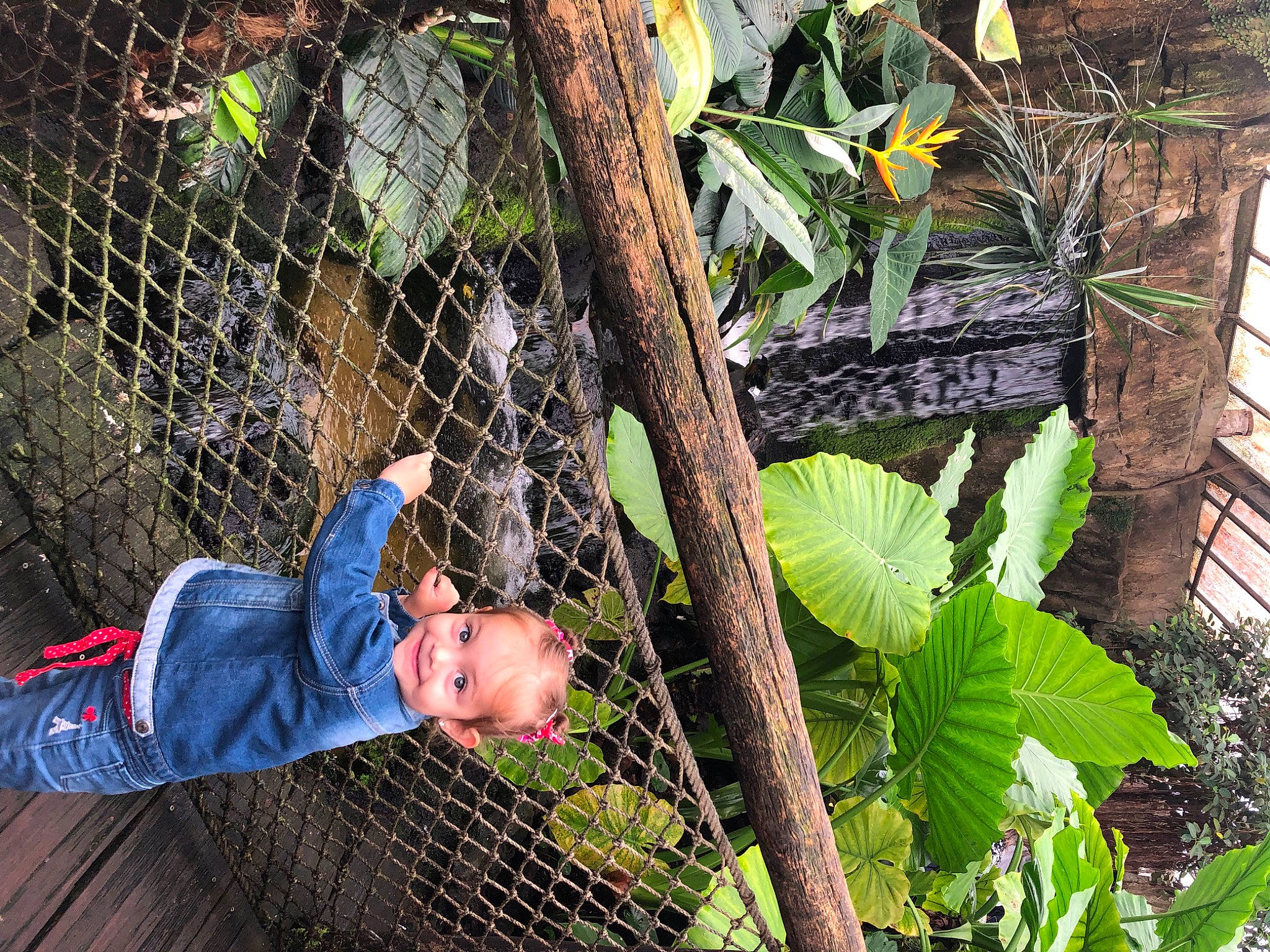 Manon a rejoint le concours — aidez-le/la à gagner de superbes lots ! annual_plant, fence, flower, flowering_plant, grass, green, jacket, joy, leaf, mesh, natural_environment, nature, people_in_nature, person, plant, plantation, soil, terrestrial_plant, toddler, tree