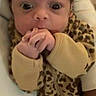 Dai'Lani joined the competition — help win amazing prizes! baby, infant, face, hands, leopard_print, onesie, clothing, blanket, lying_down, wide_eyes, curious, young_child, indoors, portrait, person, cute, soft, cozy, sleepwear, newborn