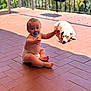 baby, pacifier, diaper, dog, white_dog, tile_floor, outdoor, sunlight, shadow, pet, child, sitting, cute, relaxed, fence, background, nature, greenery, playful, warm
