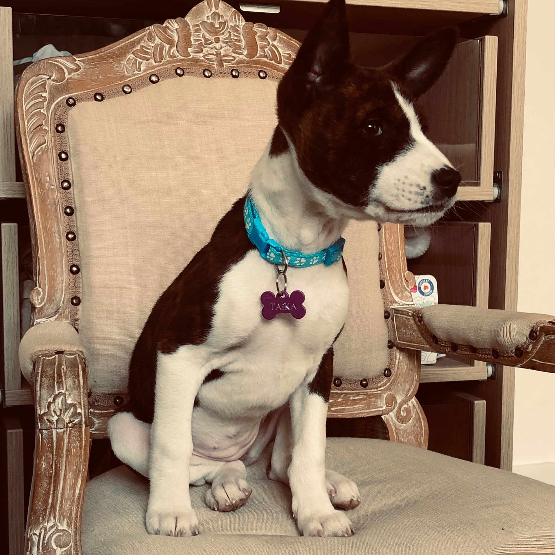 Taïka