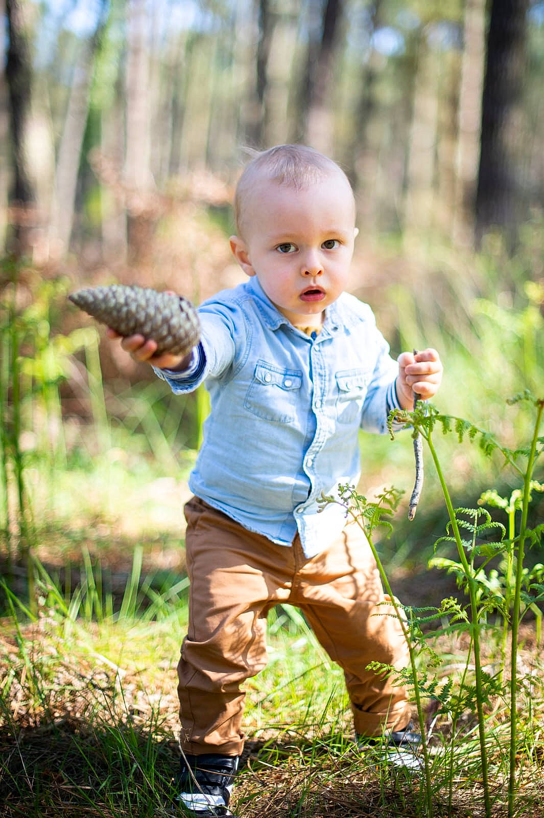 Arthur a rejoint le concours — aidez-le/la à gagner de superbes lots ! baby, baby_toddler_clothing, child, eye, flash_photography, fun, grass, grass_family, grassland, happy, leaf, leisure, mammal, natural_landscape, people_in_nature, person, plant, recreation, toddler, tree