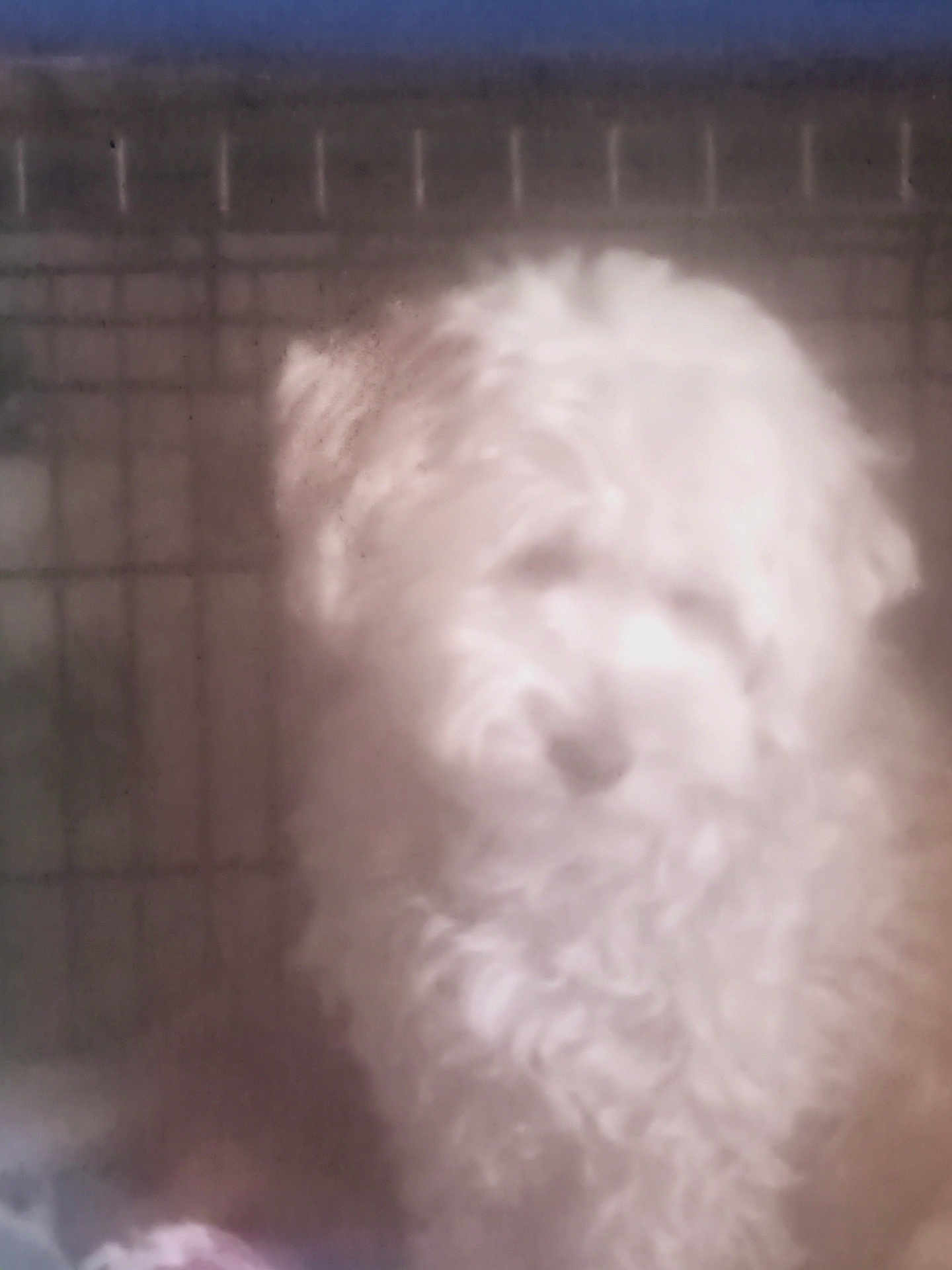 Jax