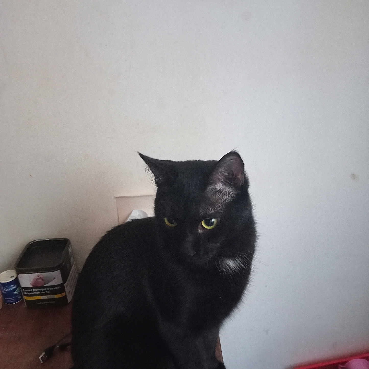 Black Maurin