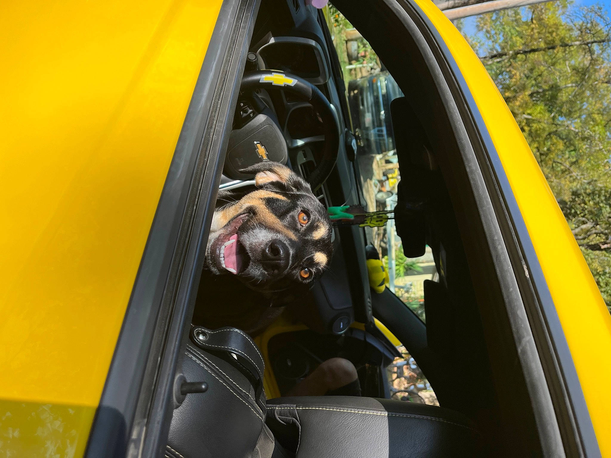Dog joined the competition — help win amazing prizes! alloy_wheel, auto_part, automotive_design, automotive_exterior, automotive_lighting, automotive_mirror, automotive_tire, automotive_wheel_system, car, fender, hood, mode_of_transport, motor_vehicle, rim, steering_wheel, vehicle, vehicle_door, wheel, window, yellow