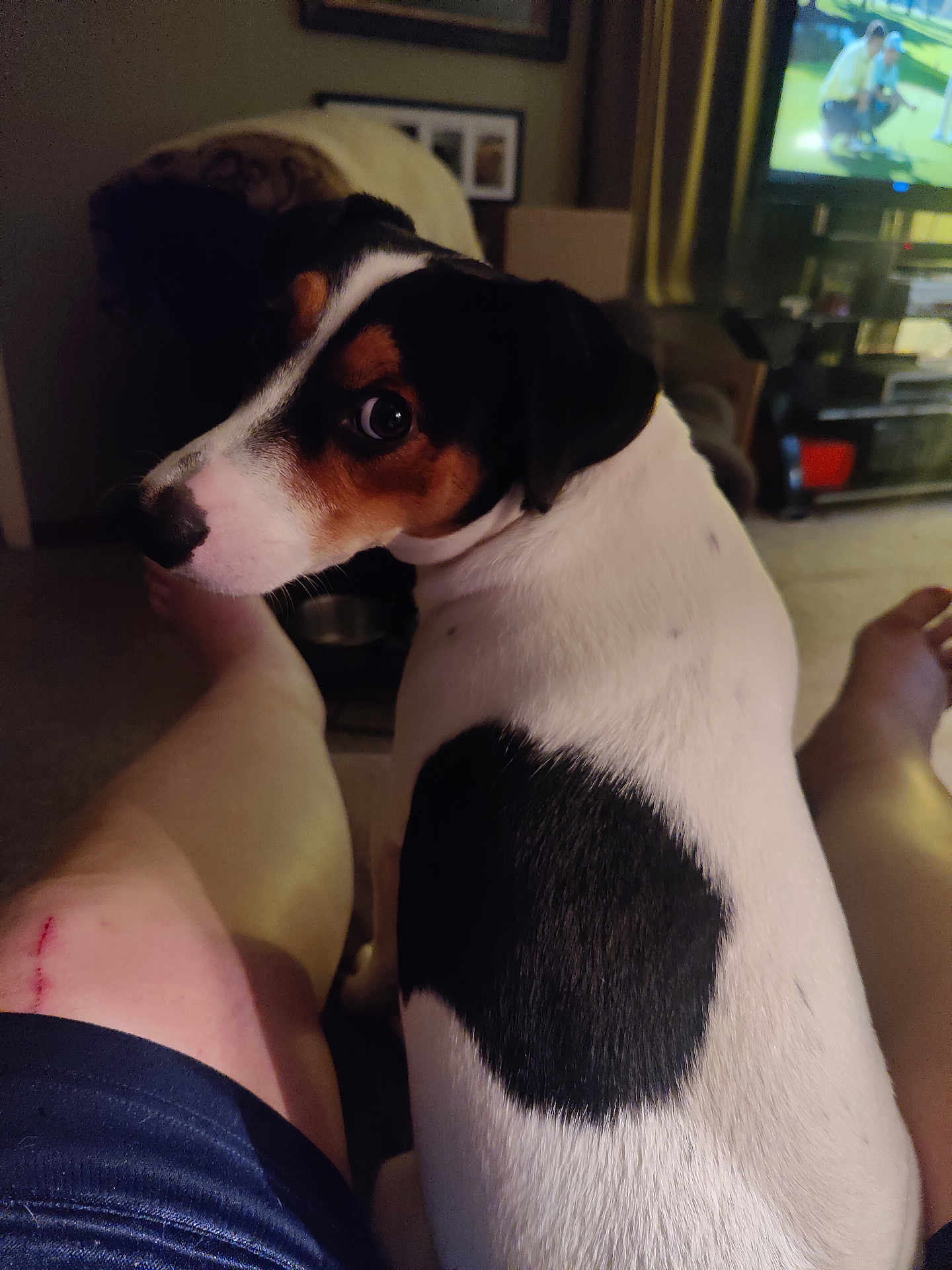 Buster