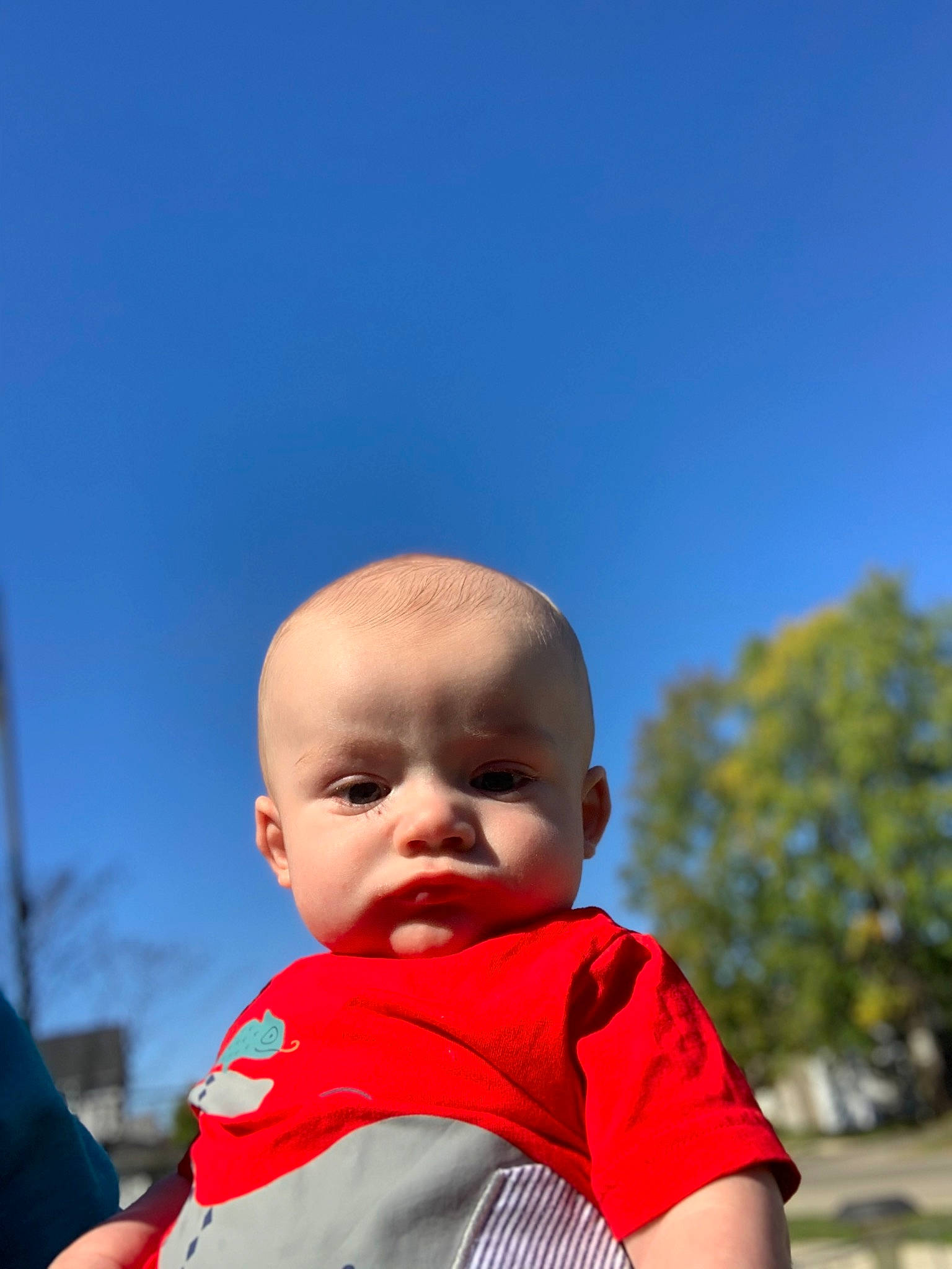 Lukas is registered to the contest to win money with this photo: baby, blue, cheek, child, cloud, eye, fun, grass, hand, head, people, person, photography, red, skin, sky, smile, summer, toddler, tree