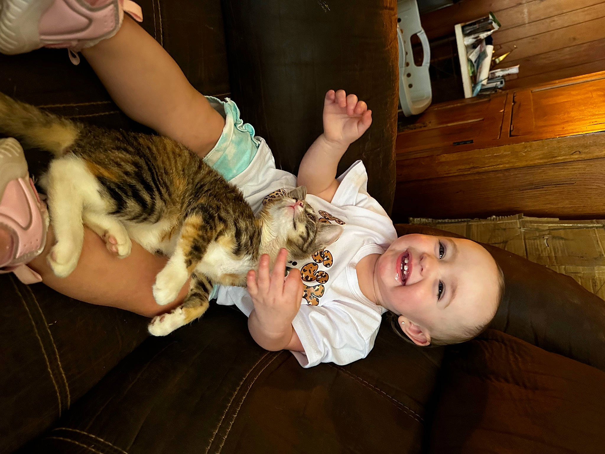 Ryleigh is registered to the contest to win money with this photo: cat, child, event, finger, flash_photography, fun, gesture, hairstyle, hand, happy, human_body, joy, lap, leg, mouth, person, smile, thigh, thumb, toddler