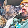 dog, man, beard, glasses, beanie, hoodie, car, window, seat, closeup, affection, licking, brindle, white, face, pet, casual, indoors, friendship, love
