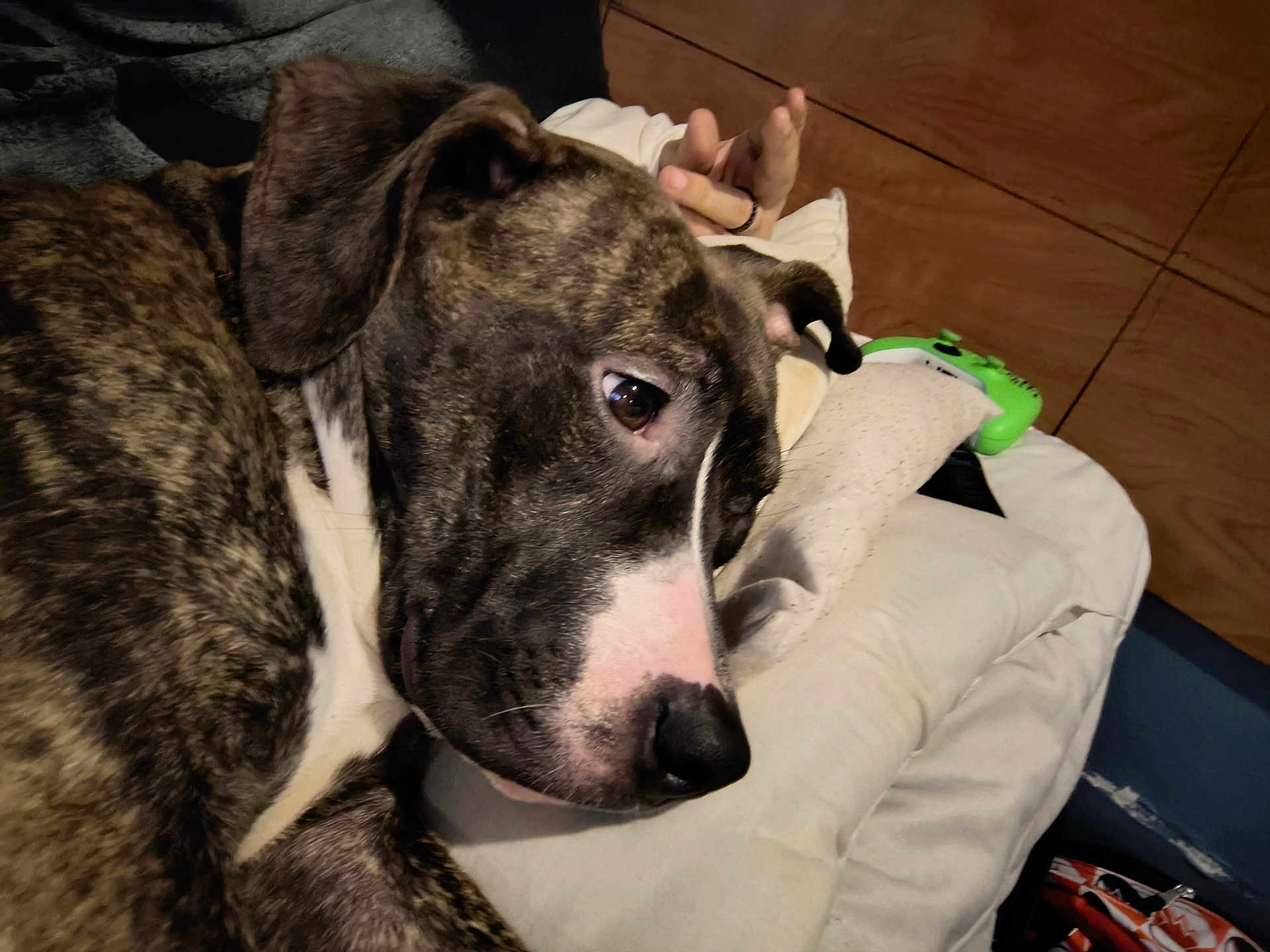 Midori Rae Boomgaarn