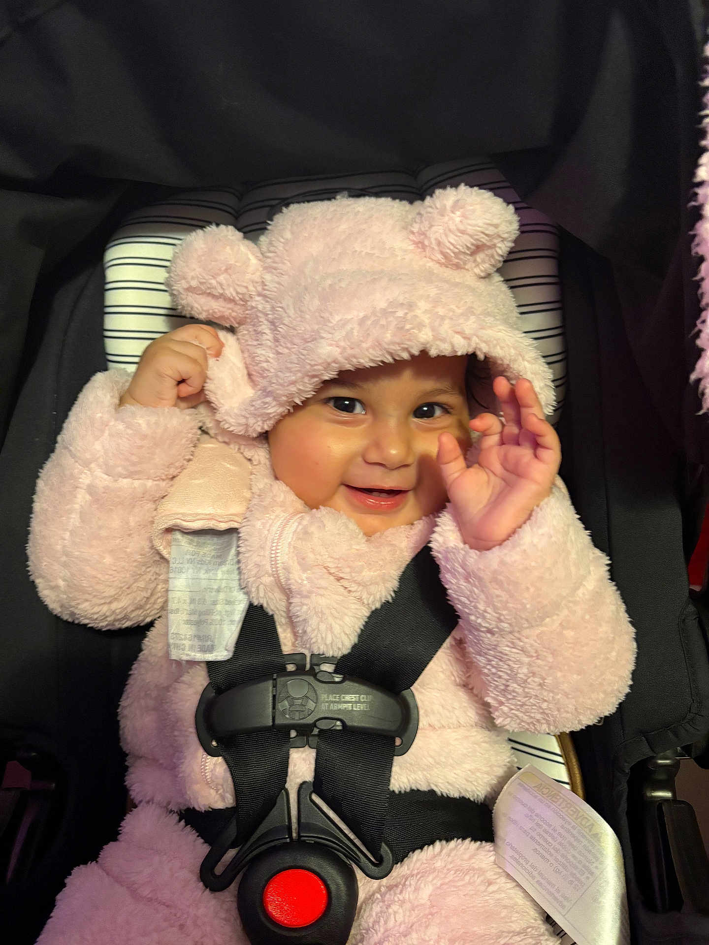 Julieth is registered to the contest to win money with this photo: baby, child, smile, pink, hoodie, fuzzy_clothing, car_seat, safety_harness, cute, portrait, happy, infant, indoors, face, hand, warm_clothing, seatbelt, baby_girl, cozy, playful