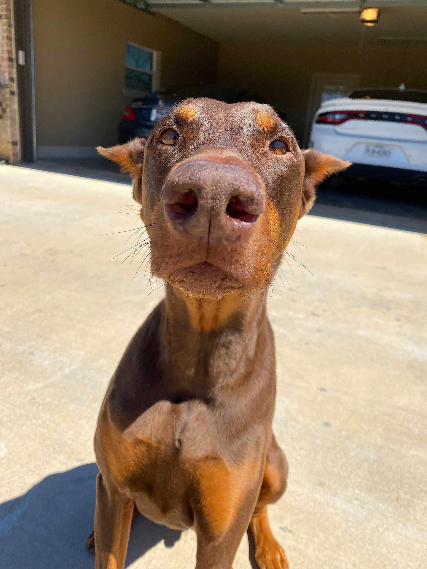 Rusty