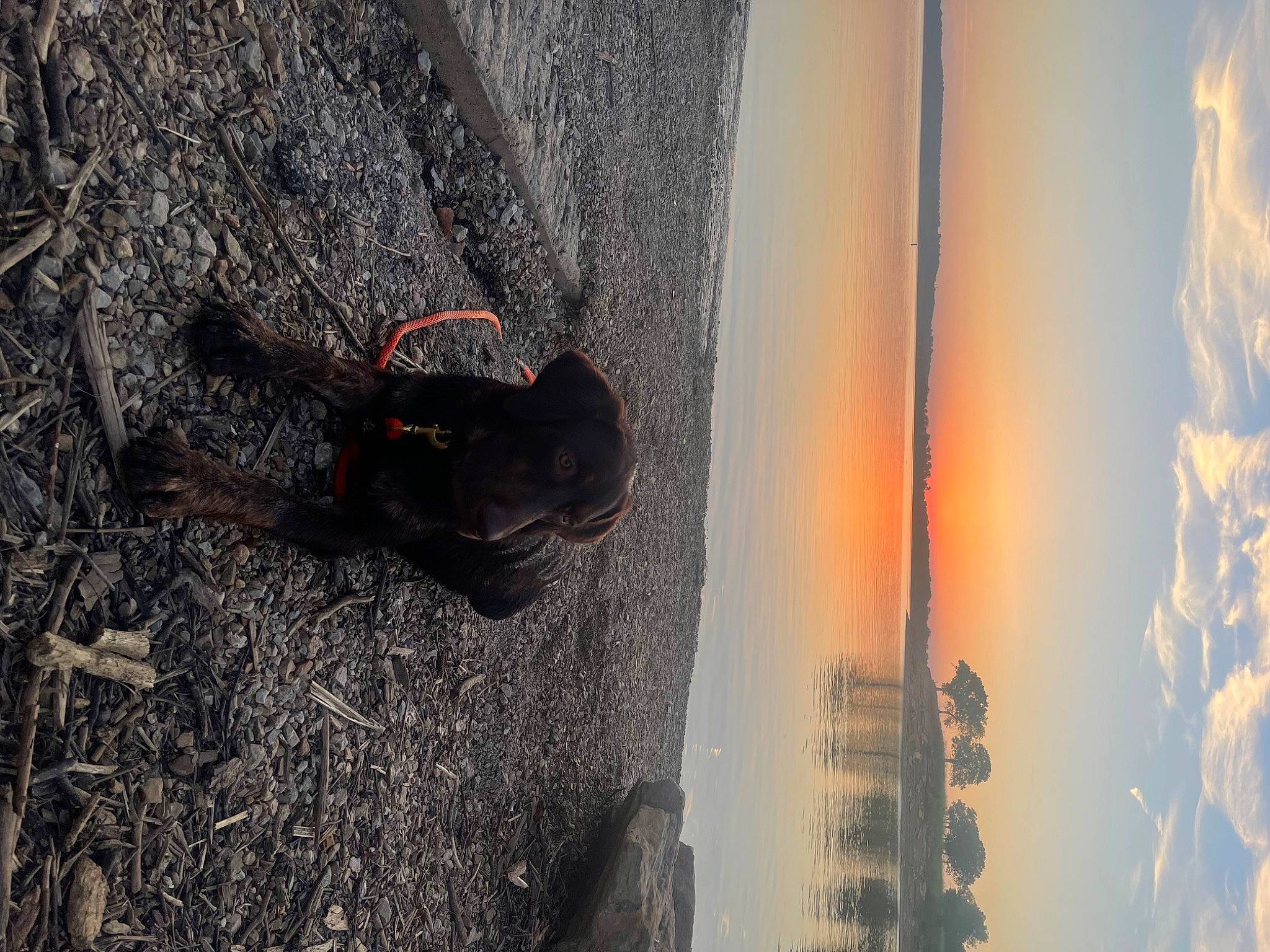 Ruger joined the competition — help win amazing prizes! asphalt, automotive_tire, automotive_wheel_system, concrete, evening, fun, heat, horizon, landscape, recreation, reflection, road_surface, shadow, sky, soil, tints_and_shades, water, window, winter, wood